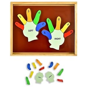 Learn The Counting Left Hand and Right Hand Learning be a Fun Activity for Kids