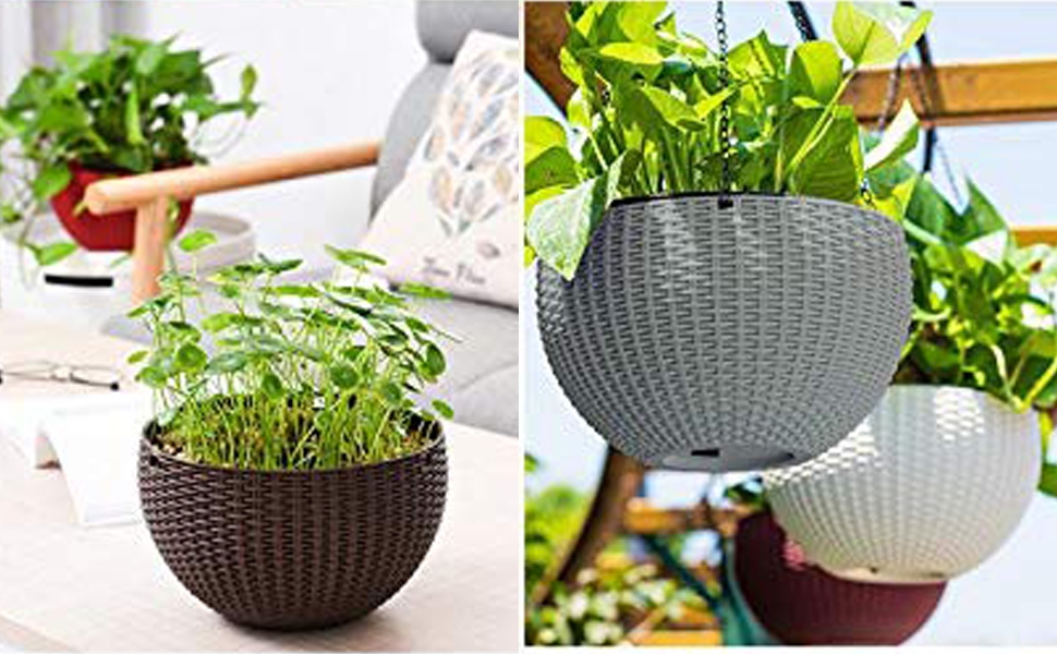 hanging planter